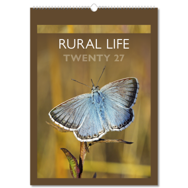 Rural Life Wall Calendar - 7 Leaf